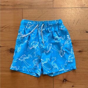 Kids Flamingo Print Swim Trunks - Blue Sz 7